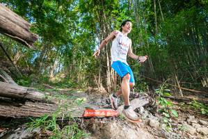 BIB: 
                            <button type="button" onclick="openModal(19387092)" class="btn btn-primary btn-sm float-right btn-popup" data-toggle="modal" data-target=".modal-high-quality">
                        <i class="fas fa-shopping-cart"></i> Add to Cart
                    </button>
                                            <button type="button" onclick="isThisMe(19387092, true)" class="btn btn-success btn-sm float-right btn-popup btn-isme hidden" data-toggle="tooltip" data-placement="bottom" title="นี่คือรูปของคุณใช่ไหม คลิกที่นี่เพื่อเอาเข้าอัลบั้ม">
                        <i class="fas fa-plus"></i> Add to album
                    </button>
                    <button type="button" onclick="isThisMe(19387092, false)" class="btn btn-warning btn-sm float-right btn-popup btn-isnotme hidden">
                        <i class="fas fa-ban"></i> Remove from album
                    </button>